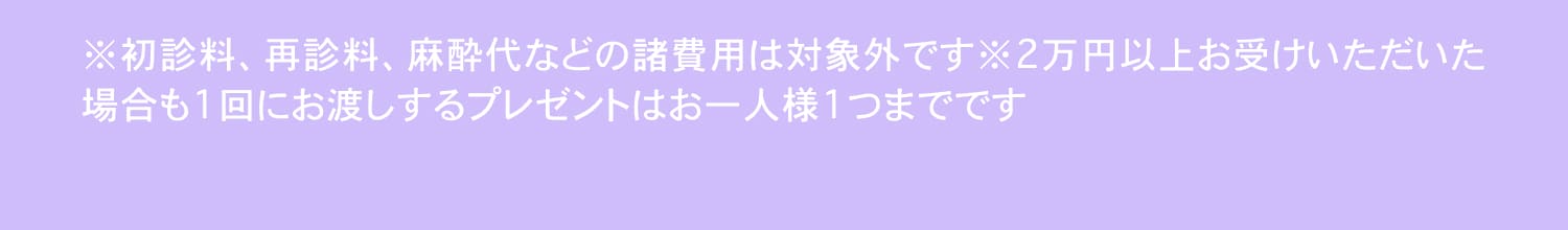 初診科、再診科、麻酔代などの諸費用は対象外です。※2万円以上お受けいただいた場合も1にお渡しするプレゼントはお一人様1つまでです。